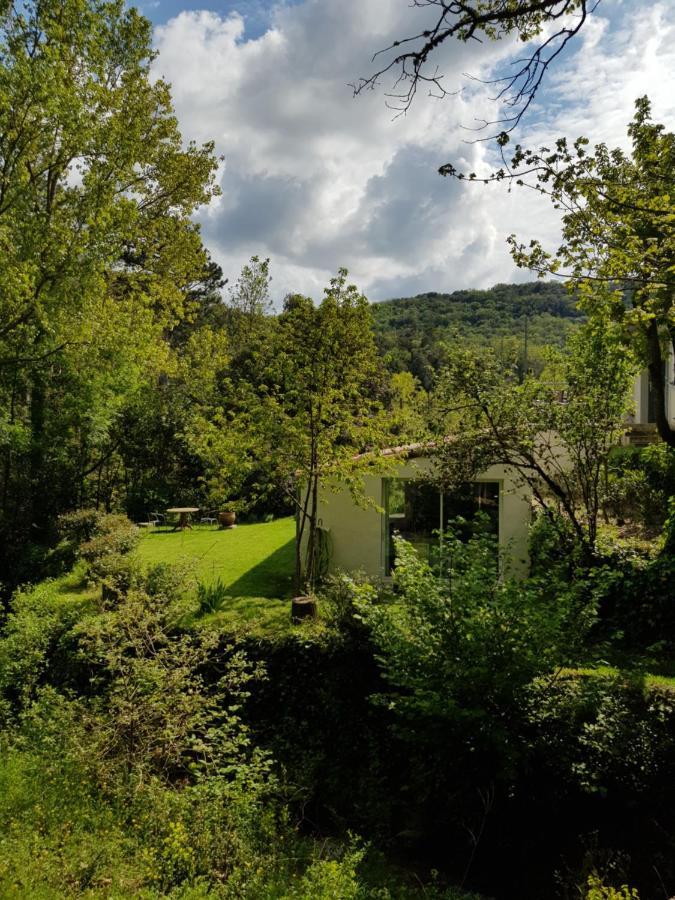 Beautiful Studio Surrounded By Nature Лане Екстер'єр фото