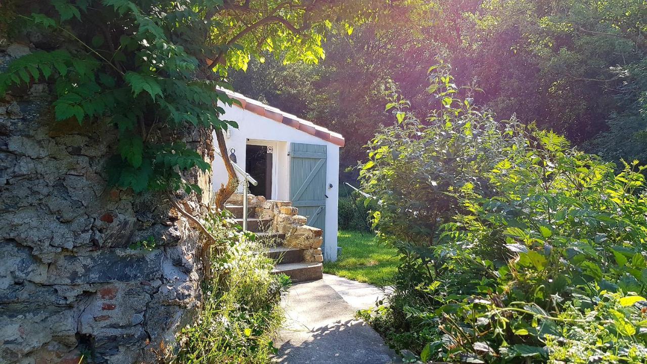 Beautiful Studio Surrounded By Nature Лане Екстер'єр фото