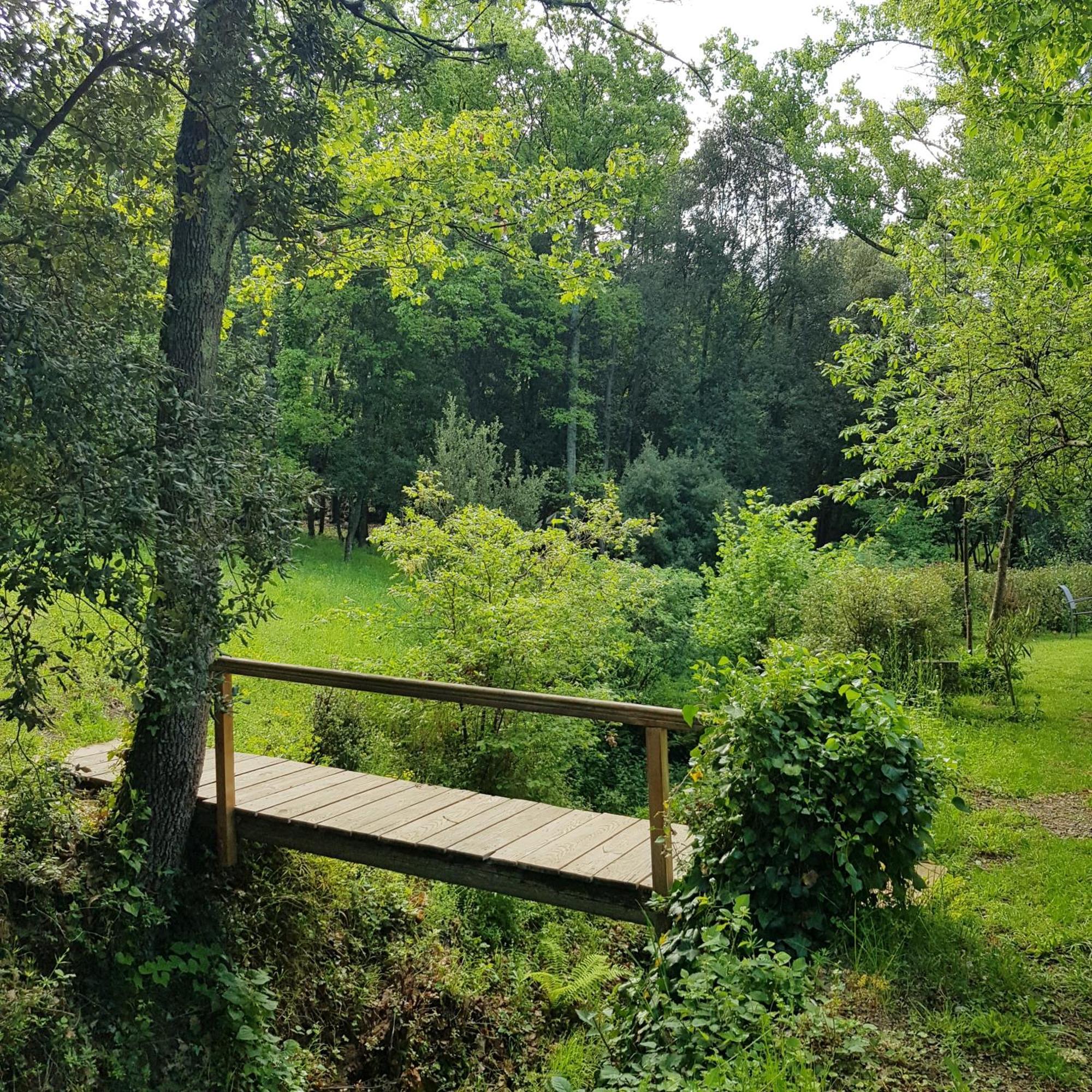 Beautiful Studio Surrounded By Nature Лане Екстер'єр фото